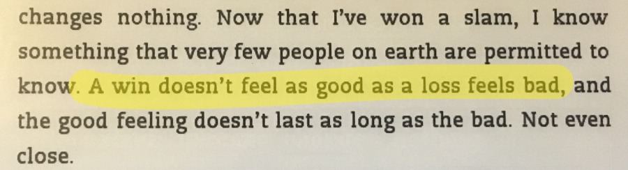 L’aversió al risc, segons Agassi