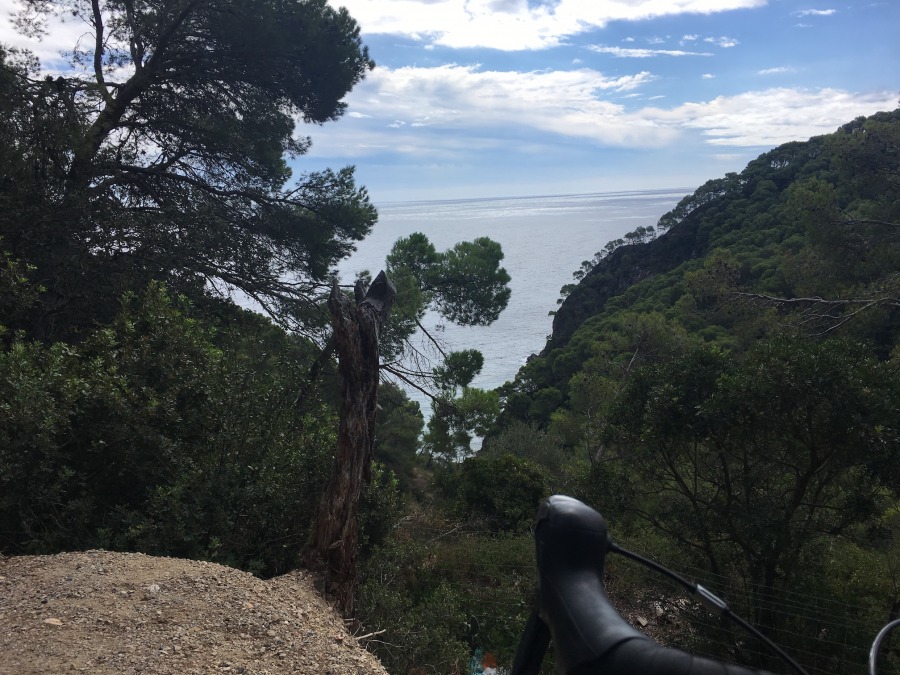 La màgia de la flexibilitat i com treure profit d’una empresa híbrida