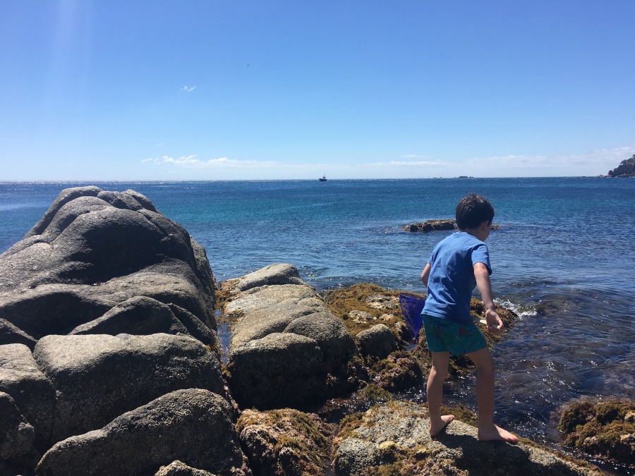 Qui està a les roques?