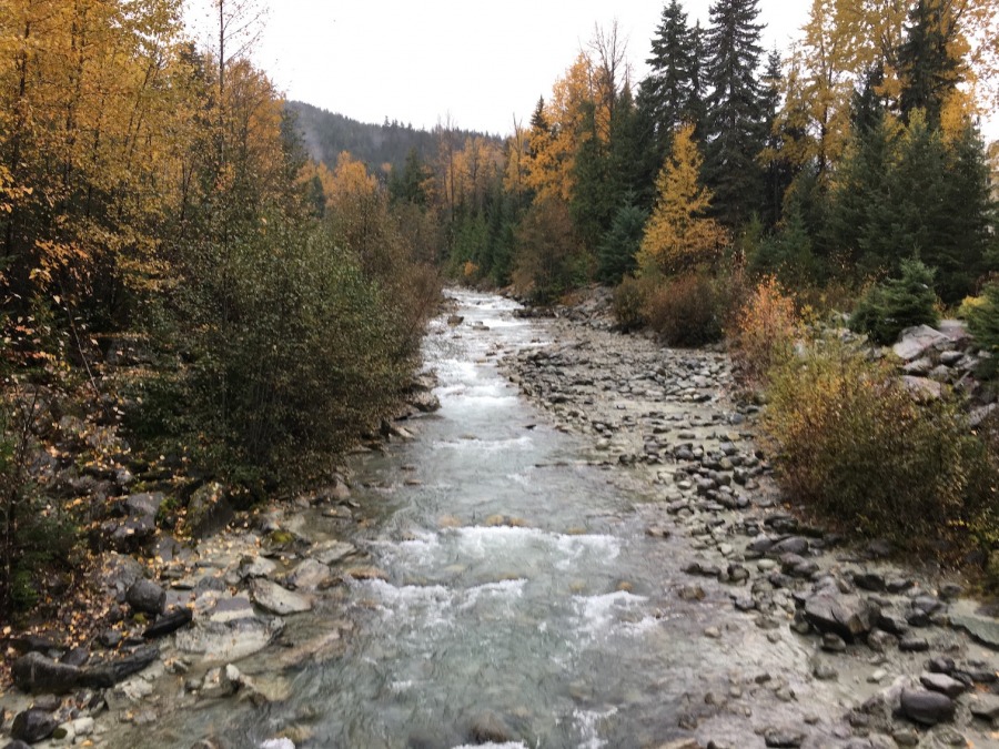 Millor acompanyat, que sol