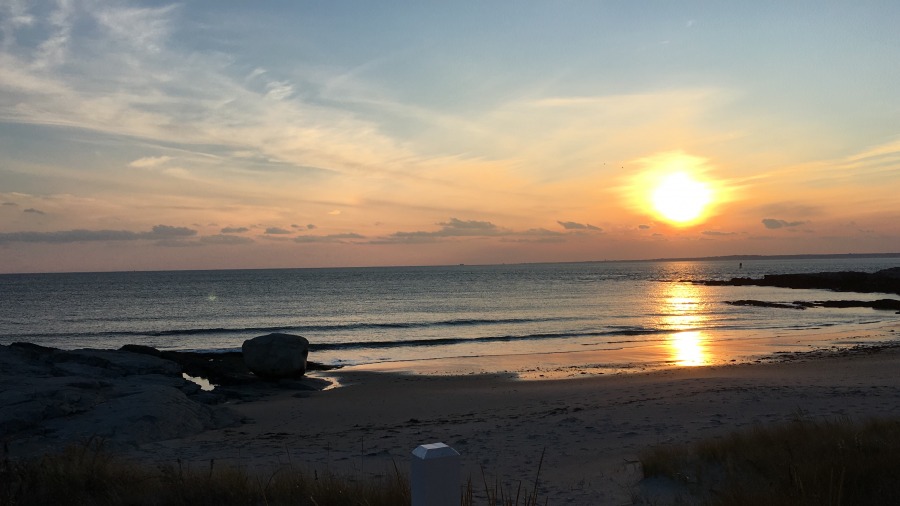 Qui controla la venda?