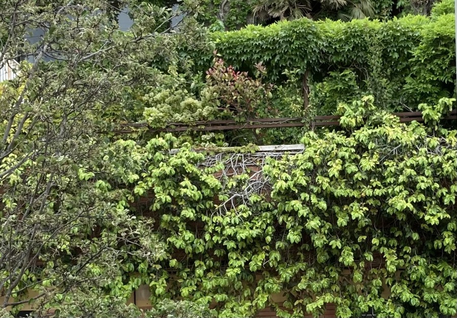 Els petits canvis són poderosos