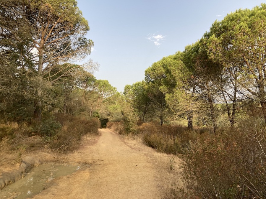 Com mirar l’empresa amb una perspectiva diferent