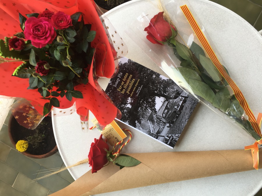 Les meves roses i els teus preus