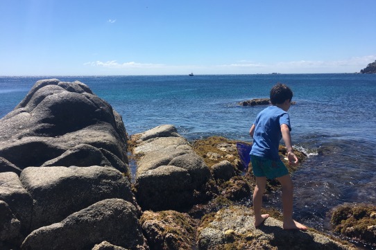 Qui està a les roques?