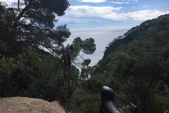 La màgia de la flexibilitat i com treure profit d’una empresa híbrida