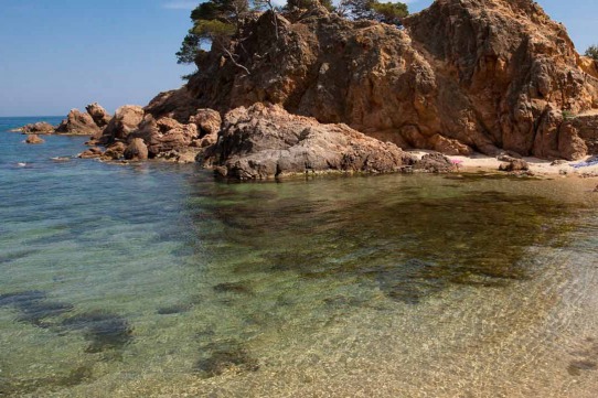 Tancar per vacances és un error, i ho saps