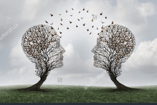 El valor de les relacions està en les relacions mateixes