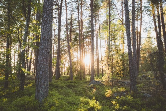 Impulsa el creixement empresarial amb els consells de ‘El Proactivista’