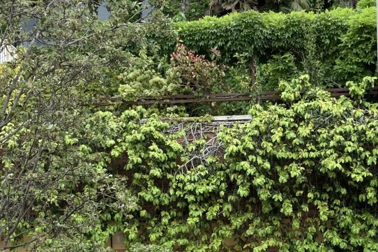 Els petits canvis són poderosos