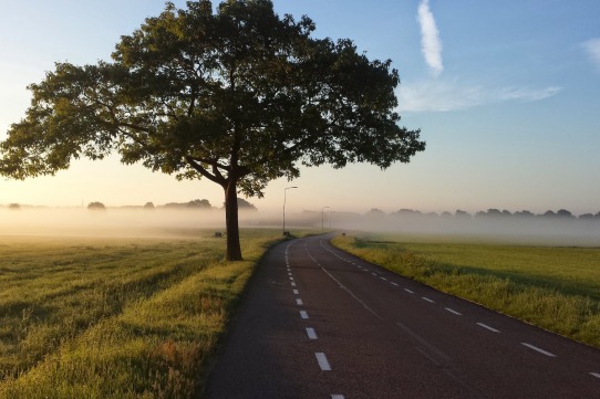 Les tres fases de l’empresa i l’empresari