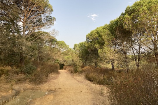 Com mirar l’empresa amb una perspectiva diferent