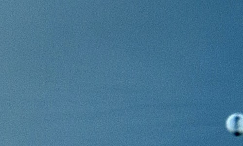 No m’ho havíeu demanat