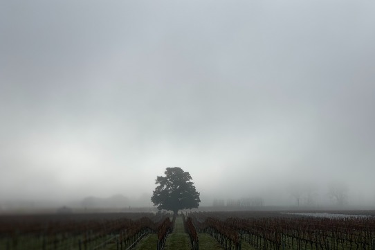 Tres preguntes i una reflexió per a traspassar els teus límits de creixement