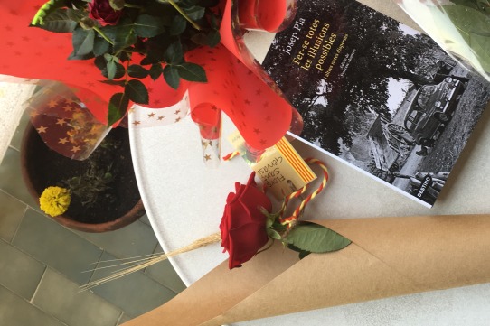 Les meves roses i els teus preus